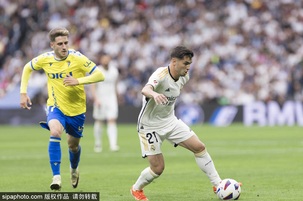 纯的技术标 纯的技术标