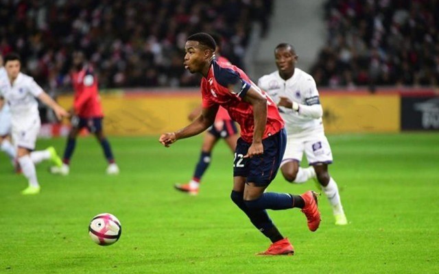 并减轻旅行 并减轻旅行