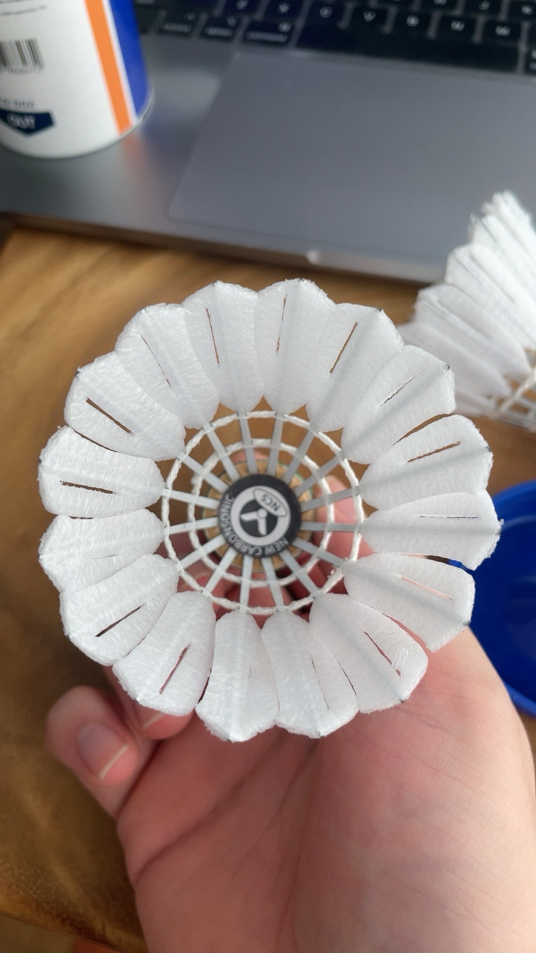 季后赛席位 季后赛席位