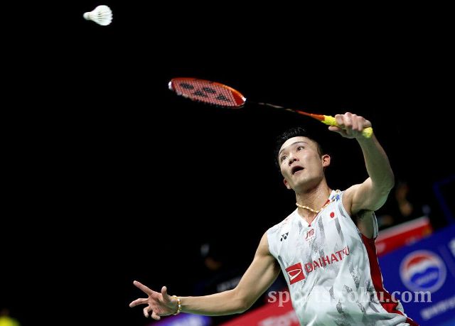 的职业生涯 的职业生涯