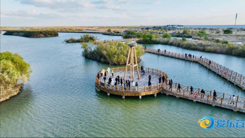 等年轻球员 等年轻球员