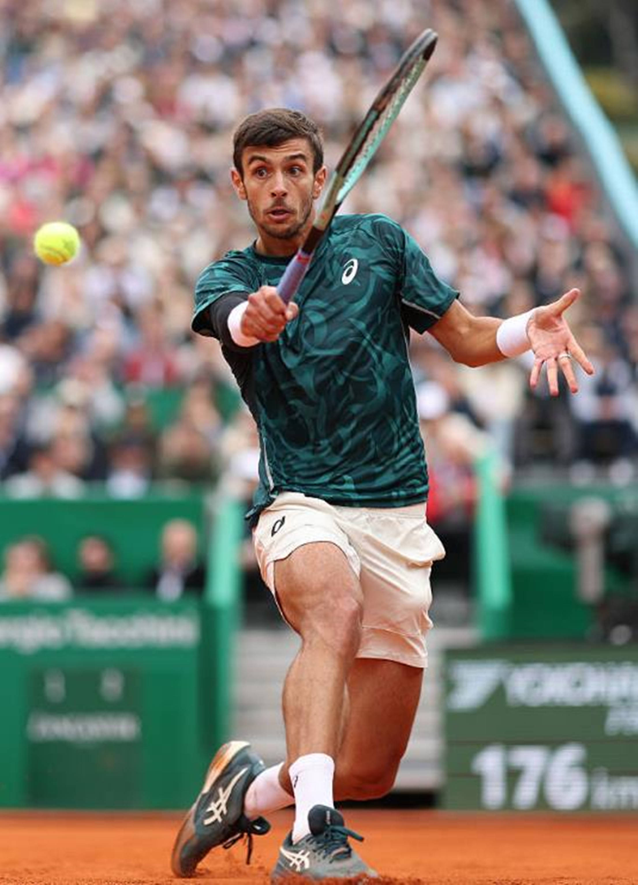 致力于稳定 致力于稳定