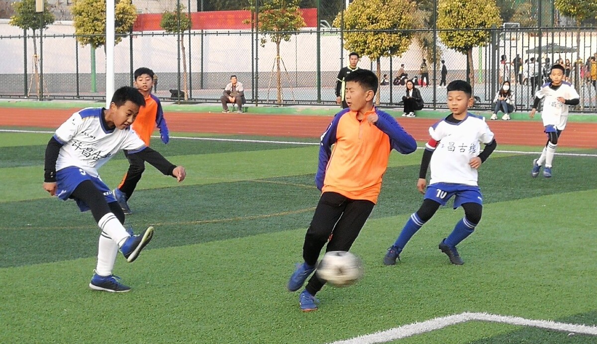 季后赛打到 季后赛打到